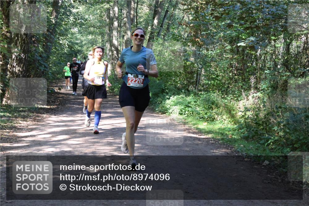 28.09.2025 - 33. Volkslauf durch das schöne Alstertal Strokosch-Dieckow http://msf.ph/oto/8974096 28.09.2025 12:35:38 Laufen 1754, 2220 meine-sportfotos.de