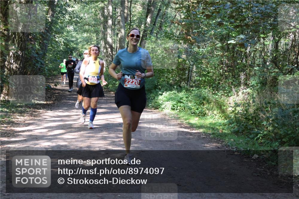 28.09.2025 - 33. Volkslauf durch das schöne Alstertal Strokosch-Dieckow http://msf.ph/oto/8974097 28.09.2025 12:35:38 Laufen 1754, 2220 meine-sportfotos.de