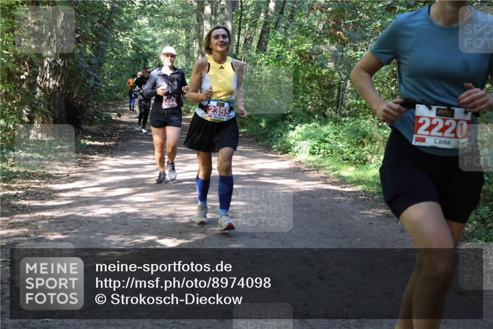 28.09.2025 - 33. Volkslauf durch das schöne Alstertal Strokosch-Dieckow http://msf.ph/oto/8974098 28.09.2025 12:35:40 Laufen 2220, 2464, 2355 meine-sportfotos.de
