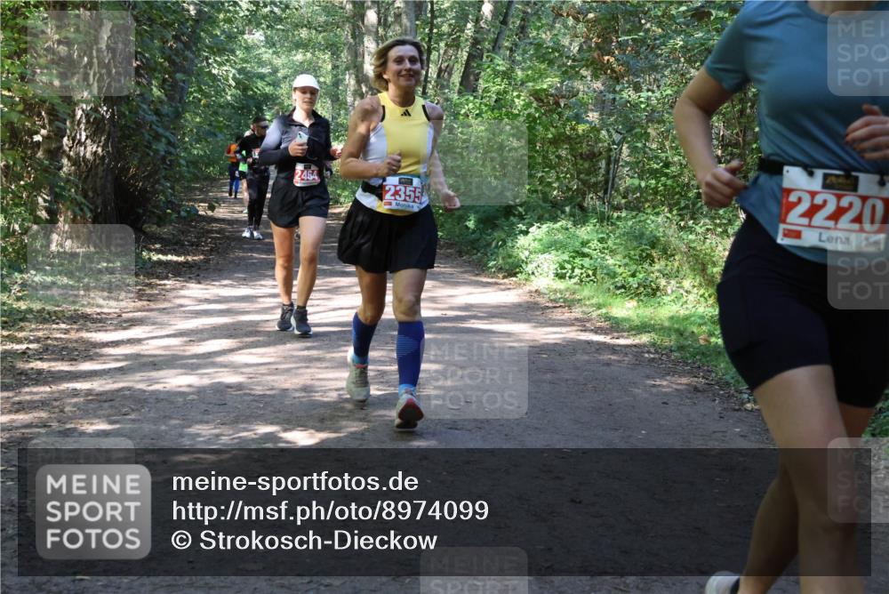 28.09.2025 - 33. Volkslauf durch das schöne Alstertal Strokosch-Dieckow http://msf.ph/oto/8974099 28.09.2025 12:35:40 Laufen 2464, 2355, 2220 meine-sportfotos.de