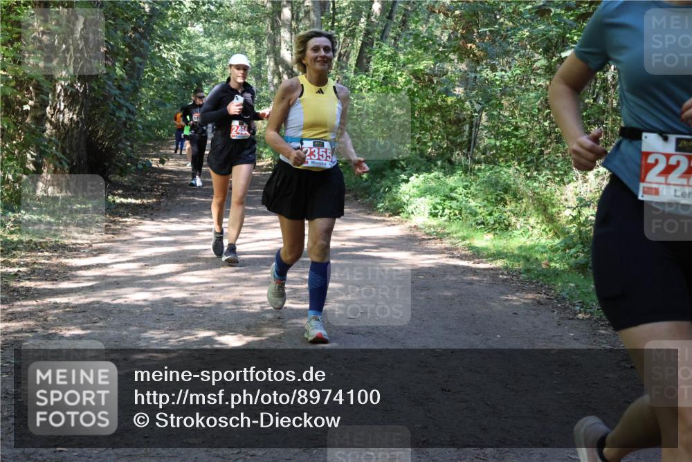 28.09.2025 - 33. Volkslauf durch das schöne Alstertal Strokosch-Dieckow http://msf.ph/oto/8974100 28.09.2025 12:35:40 Laufen 2464, 2355, 22 meine-sportfotos.de