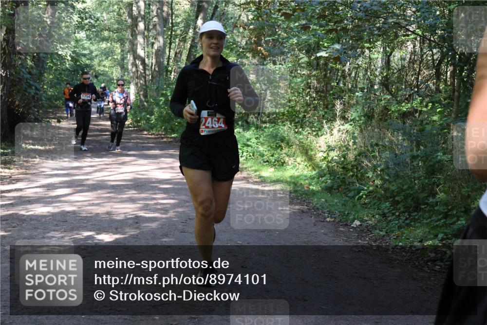 28.09.2025 - 33. Volkslauf durch das schöne Alstertal Strokosch-Dieckow http://msf.ph/oto/8974101 28.09.2025 12:35:42 Laufen 1754, 1104, 2464 meine-sportfotos.de