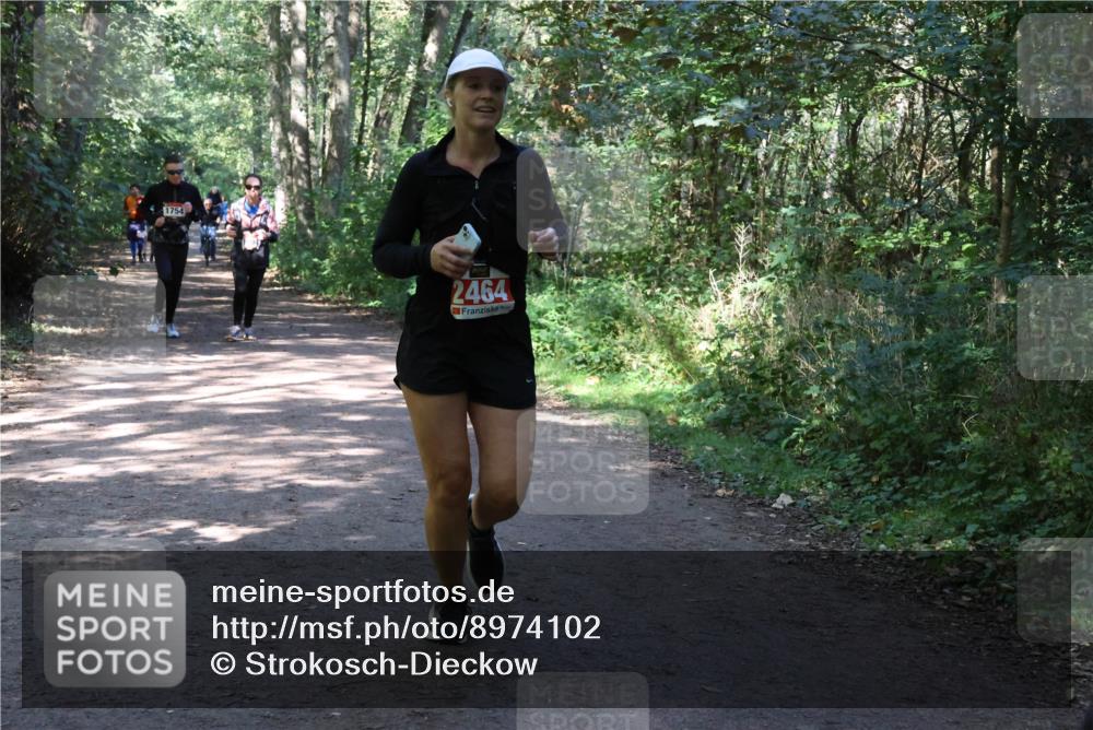 28.09.2025 - 33. Volkslauf durch das schöne Alstertal Strokosch-Dieckow http://msf.ph/oto/8974102 28.09.2025 12:35:42 Laufen 1754, 2464 meine-sportfotos.de