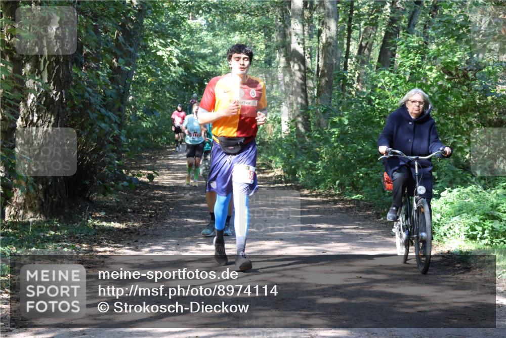 28.09.2025 - 33. Volkslauf durch das schöne Alstertal Strokosch-Dieckow http://msf.ph/oto/8974114 28.09.2025 12:35:55 Laufen  meine-sportfotos.de