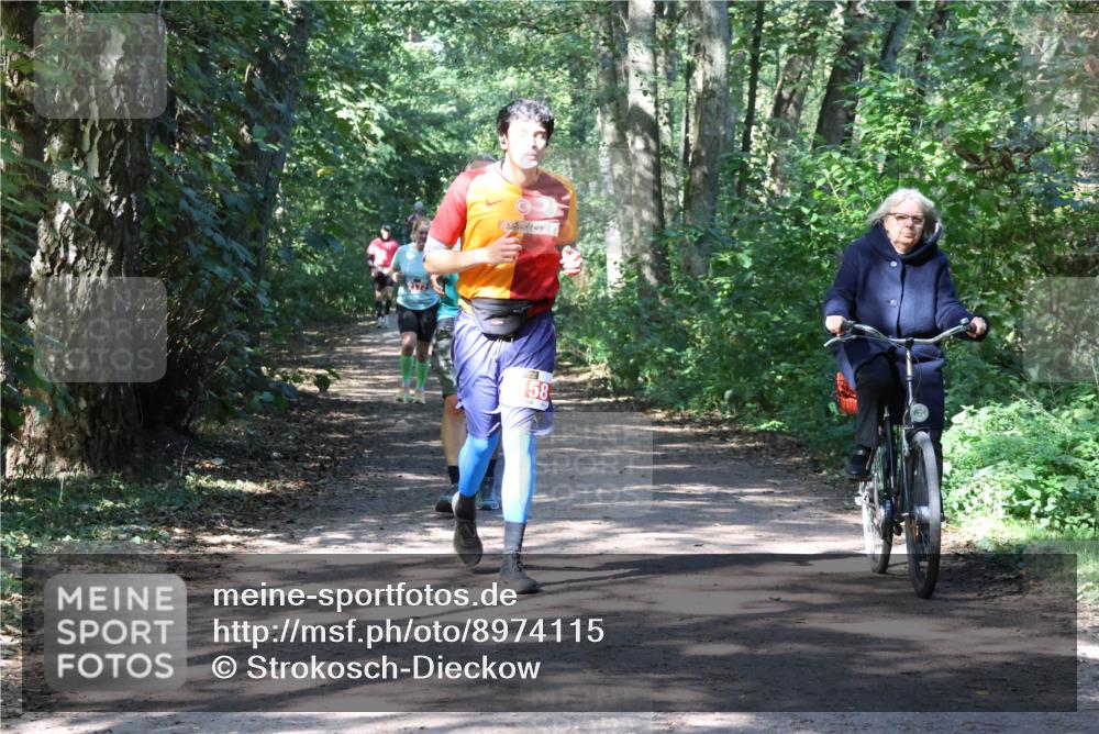 28.09.2025 - 33. Volkslauf durch das schöne Alstertal Strokosch-Dieckow http://msf.ph/oto/8974115 28.09.2025 12:35:55 Laufen  meine-sportfotos.de