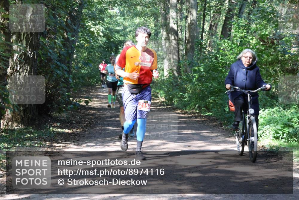 28.09.2025 - 33. Volkslauf durch das schöne Alstertal Strokosch-Dieckow http://msf.ph/oto/8974116 28.09.2025 12:35:55 Laufen 474550, 2158 meine-sportfotos.de