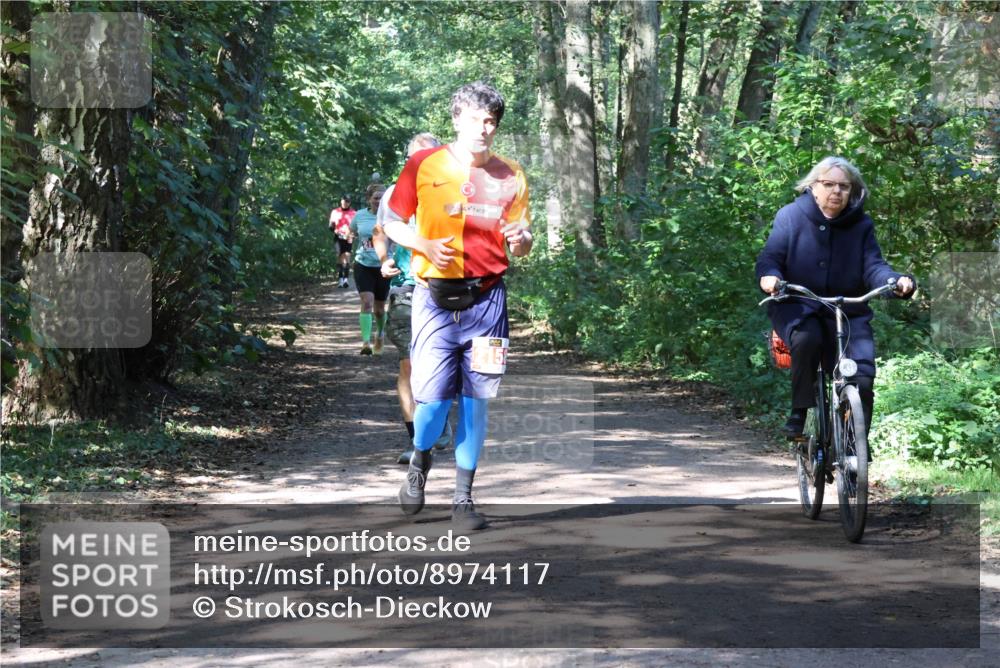 28.09.2025 - 33. Volkslauf durch das schöne Alstertal Strokosch-Dieckow http://msf.ph/oto/8974117 28.09.2025 12:35:56 Laufen  meine-sportfotos.de
