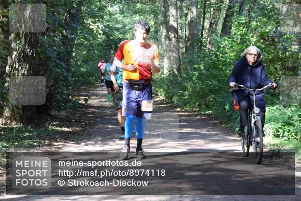 28.09.2025 - 33. Volkslauf durch das schöne Alstertal Strokosch-Dieckow http://msf.ph/oto/8974118 28.09.2025 12:35:56 Laufen 2158 meine-sportfotos.de