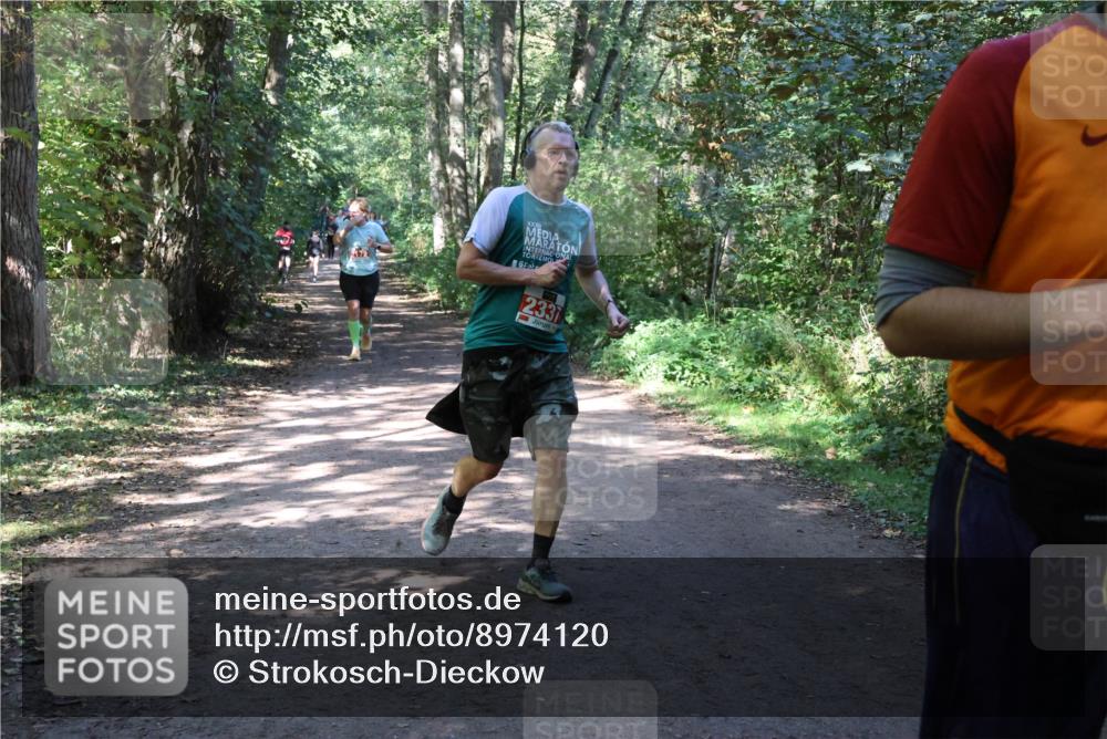 28.09.2025 - 33. Volkslauf durch das schöne Alstertal Strokosch-Dieckow http://msf.ph/oto/8974120 28.09.2025 12:36:00 Laufen 6, 2331 meine-sportfotos.de