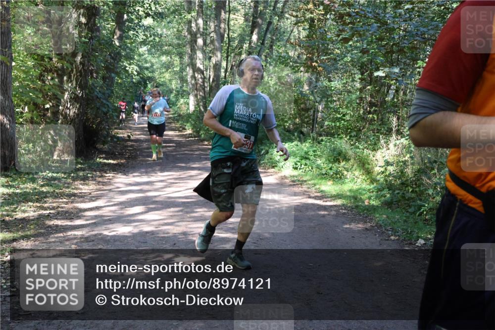 28.09.2025 - 33. Volkslauf durch das schöne Alstertal Strokosch-Dieckow http://msf.ph/oto/8974121 28.09.2025 12:36:00 Laufen 6, 37 meine-sportfotos.de