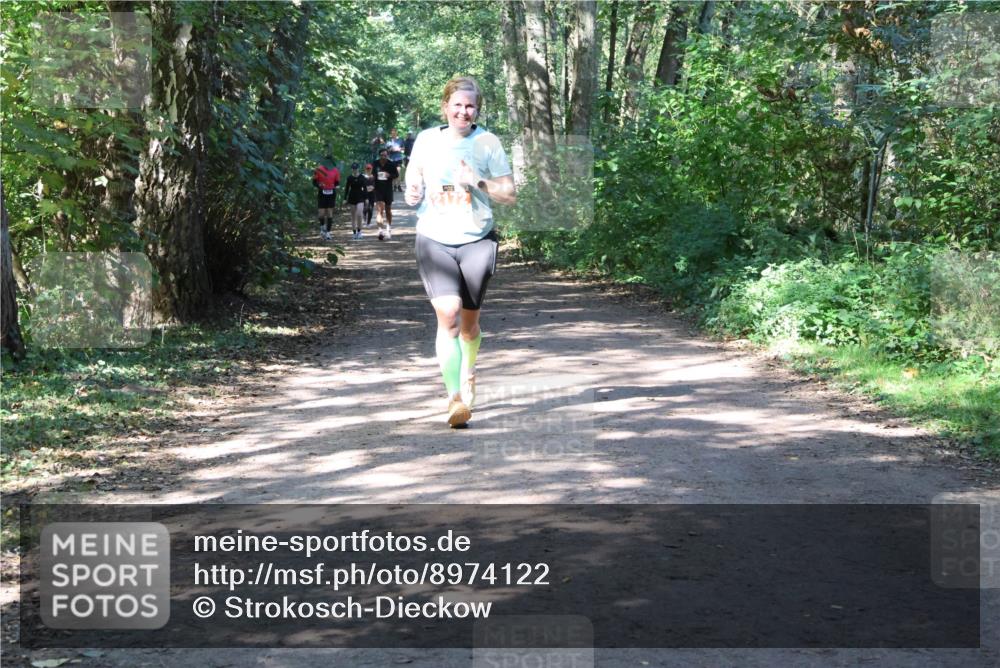 28.09.2025 - 33. Volkslauf durch das schöne Alstertal Strokosch-Dieckow http://msf.ph/oto/8974122 28.09.2025 12:36:03 Laufen  meine-sportfotos.de
