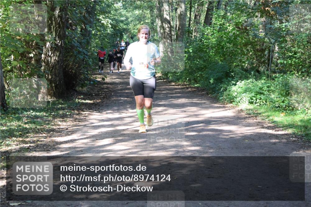 28.09.2025 - 33. Volkslauf durch das schöne Alstertal Strokosch-Dieckow http://msf.ph/oto/8974124 28.09.2025 12:36:03 Laufen  meine-sportfotos.de