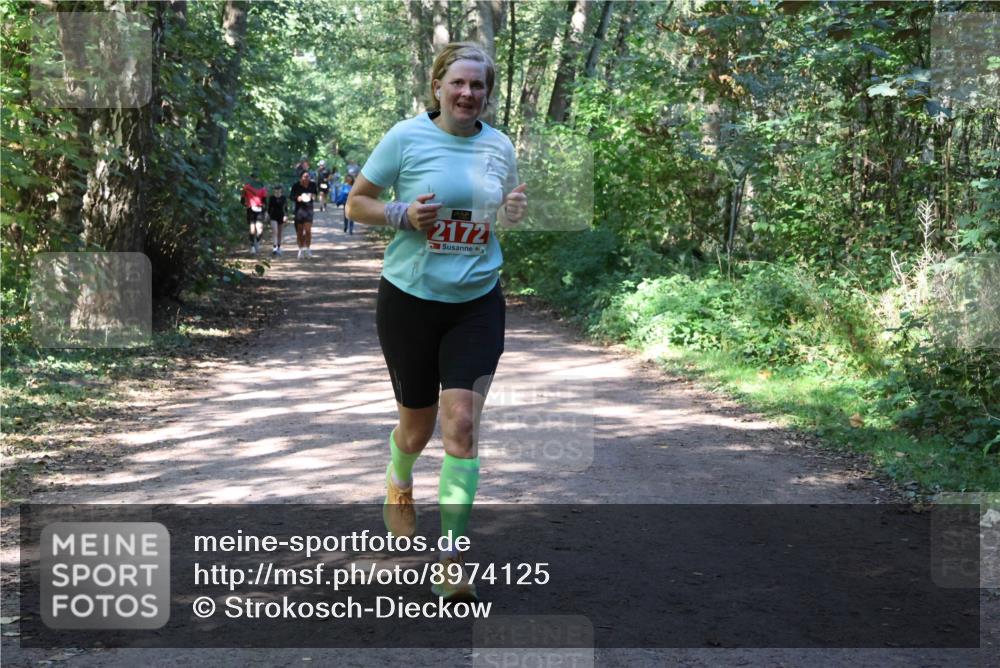28.09.2025 - 33. Volkslauf durch das schöne Alstertal Strokosch-Dieckow http://msf.ph/oto/8974125 28.09.2025 12:36:05 Laufen 2172 meine-sportfotos.de