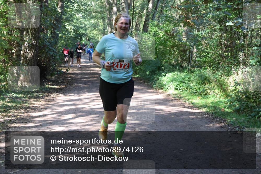 28.09.2025 - 33. Volkslauf durch das schöne Alstertal Strokosch-Dieckow http://msf.ph/oto/8974126 28.09.2025 12:36:05 Laufen 2172 meine-sportfotos.de