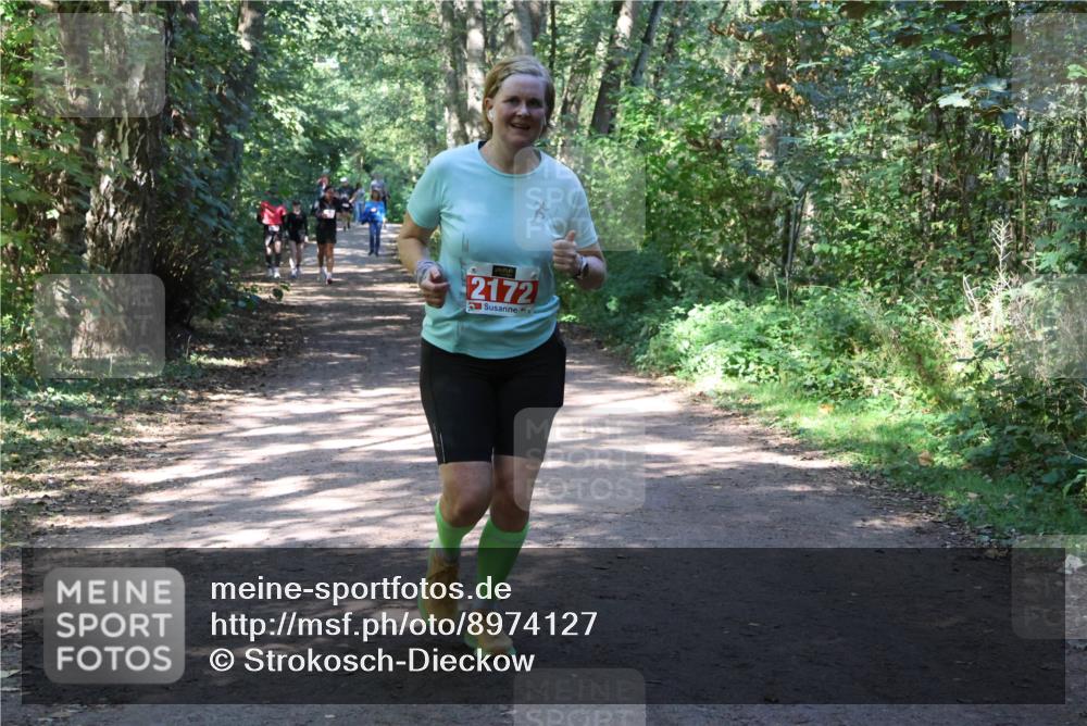 28.09.2025 - 33. Volkslauf durch das schöne Alstertal Strokosch-Dieckow http://msf.ph/oto/8974127 28.09.2025 12:36:05 Laufen 2172 meine-sportfotos.de