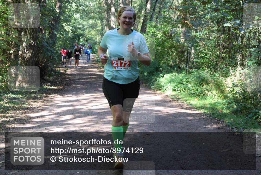 28.09.2025 - 33. Volkslauf durch das schöne Alstertal Strokosch-Dieckow http://msf.ph/oto/8974129 28.09.2025 12:36:05 Laufen 2172 meine-sportfotos.de