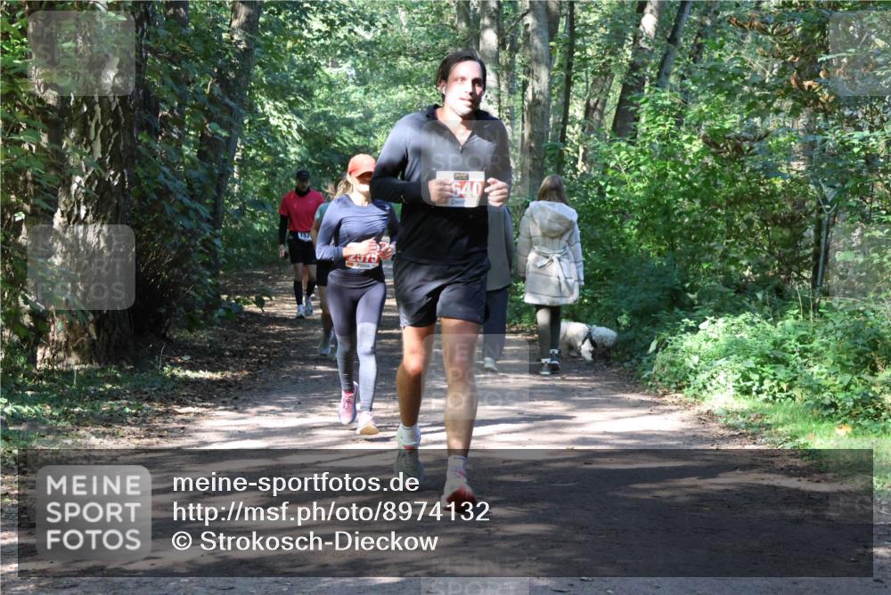 28.09.2025 - 33. Volkslauf durch das schöne Alstertal Strokosch-Dieckow http://msf.ph/oto/8974132 28.09.2025 12:36:18 Laufen 157, 2015, 540 meine-sportfotos.de