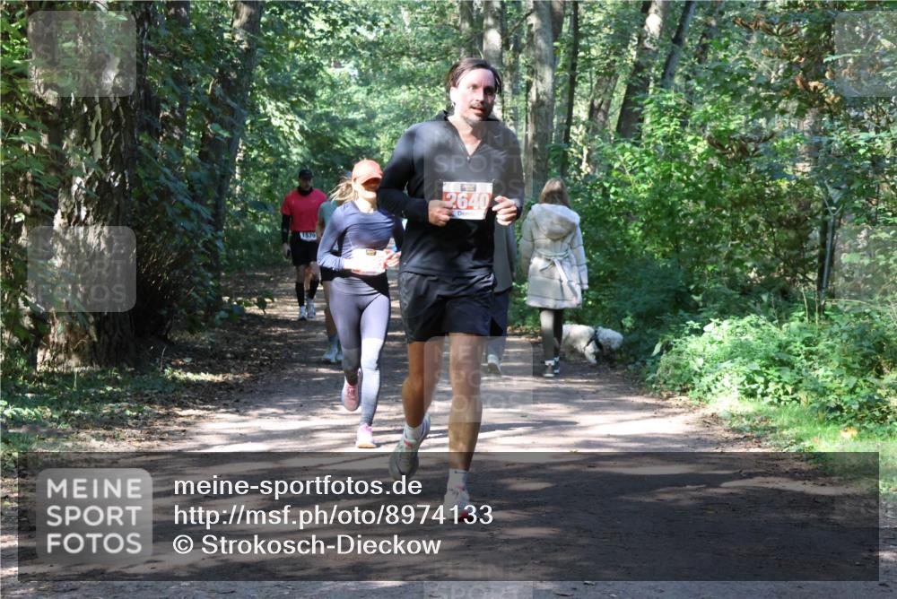 28.09.2025 - 33. Volkslauf durch das schöne Alstertal Strokosch-Dieckow http://msf.ph/oto/8974133 28.09.2025 12:36:18 Laufen 1579, 2640, 1 meine-sportfotos.de
