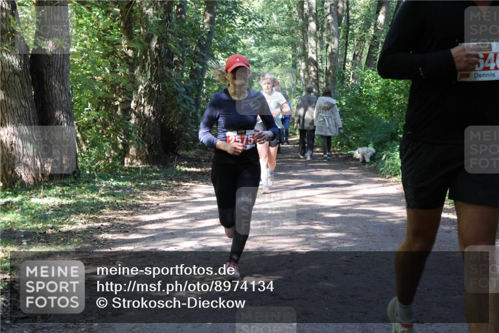 28.09.2025 - 33. Volkslauf durch das schöne Alstertal Strokosch-Dieckow http://msf.ph/oto/8974134 28.09.2025 12:36:20 Laufen 2575, 222, 640 meine-sportfotos.de