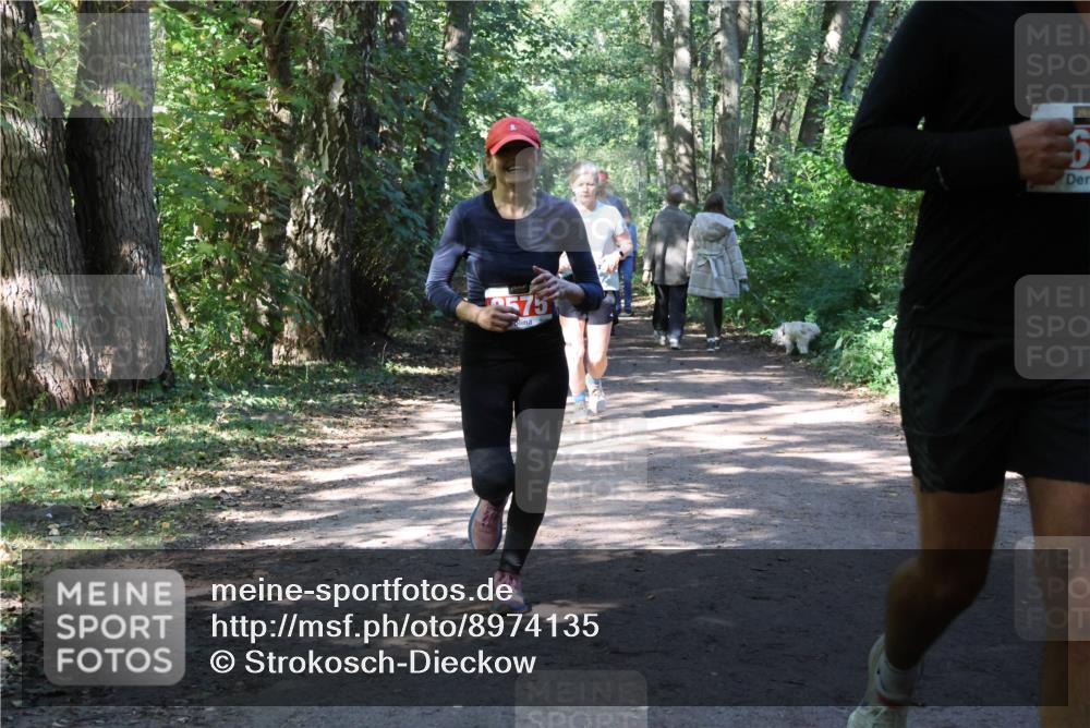 28.09.2025 - 33. Volkslauf durch das schöne Alstertal Strokosch-Dieckow http://msf.ph/oto/8974135 28.09.2025 12:36:20 Laufen 575 meine-sportfotos.de