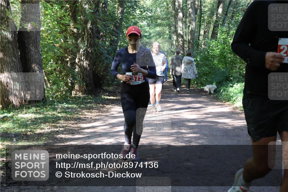 28.09.2025 - 33. Volkslauf durch das schöne Alstertal Strokosch-Dieckow http://msf.ph/oto/8974136 28.09.2025 12:36:20 Laufen 575, 2 meine-sportfotos.de