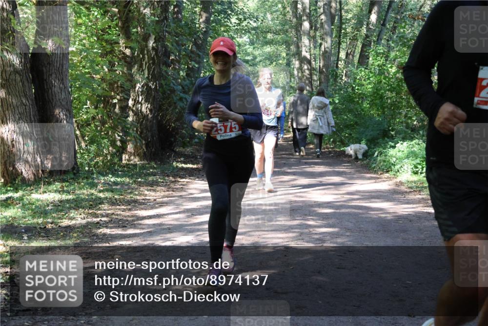 28.09.2025 - 33. Volkslauf durch das schöne Alstertal Strokosch-Dieckow http://msf.ph/oto/8974137 28.09.2025 12:36:20 Laufen 2575 meine-sportfotos.de