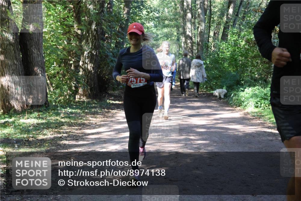 28.09.2025 - 33. Volkslauf durch das schöne Alstertal Strokosch-Dieckow http://msf.ph/oto/8974138 28.09.2025 12:36:20 Laufen 2575 meine-sportfotos.de