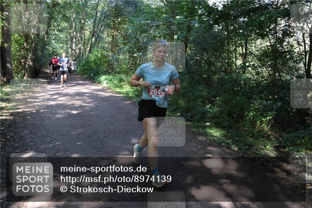 28.09.2025 - 33. Volkslauf durch das schöne Alstertal Strokosch-Dieckow http://msf.ph/oto/8974139 28.09.2025 12:36:24 Laufen 2649 meine-sportfotos.de