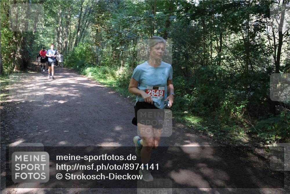 28.09.2025 - 33. Volkslauf durch das schöne Alstertal Strokosch-Dieckow http://msf.ph/oto/8974141 28.09.2025 12:36:24 Laufen 2649 meine-sportfotos.de