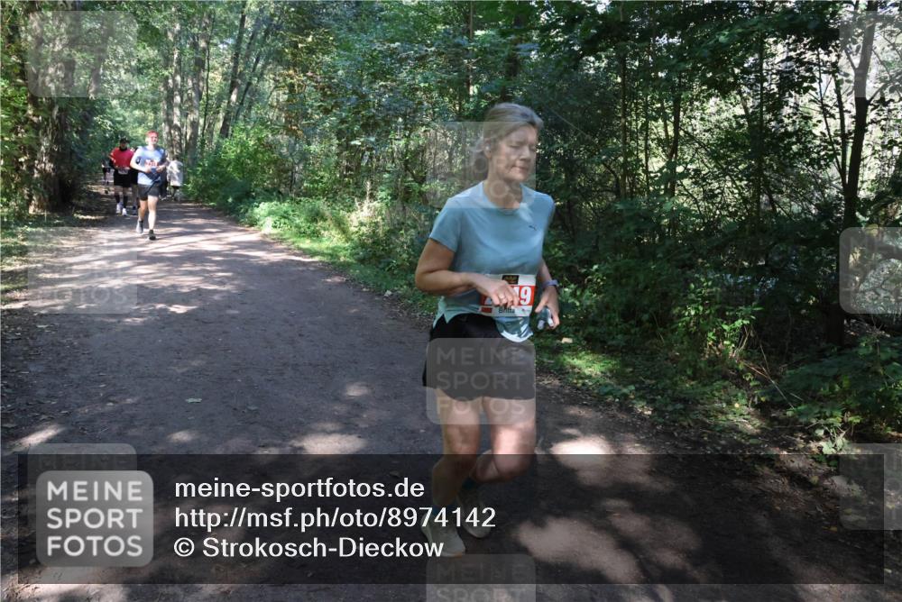 28.09.2025 - 33. Volkslauf durch das schöne Alstertal Strokosch-Dieckow http://msf.ph/oto/8974142 28.09.2025 12:36:24 Laufen 6 meine-sportfotos.de