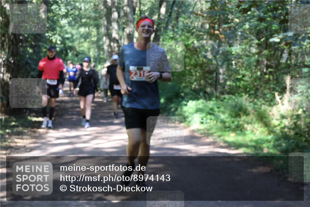 28.09.2025 - 33. Volkslauf durch das schöne Alstertal Strokosch-Dieckow http://msf.ph/oto/8974143 28.09.2025 12:36:27 Laufen 2316 meine-sportfotos.de
