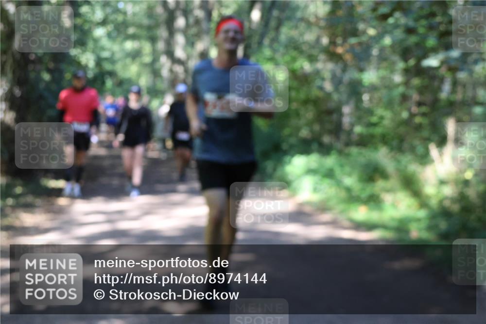 28.09.2025 - 33. Volkslauf durch das schöne Alstertal Strokosch-Dieckow http://msf.ph/oto/8974144 28.09.2025 12:36:27 Laufen  meine-sportfotos.de