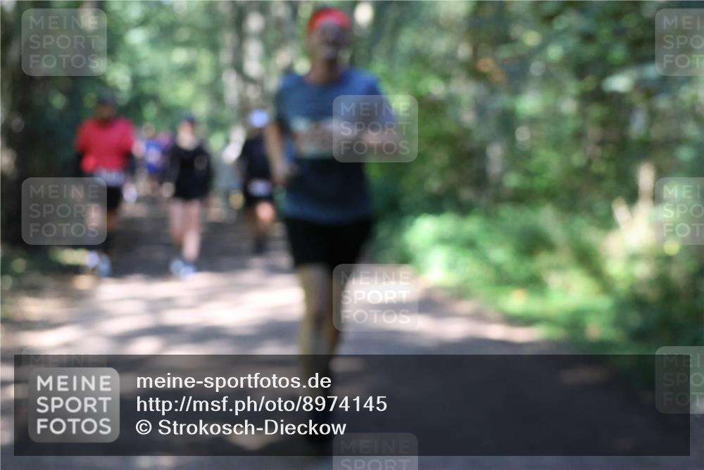 28.09.2025 - 33. Volkslauf durch das schöne Alstertal Strokosch-Dieckow http://msf.ph/oto/8974145 28.09.2025 12:36:27 Laufen  meine-sportfotos.de