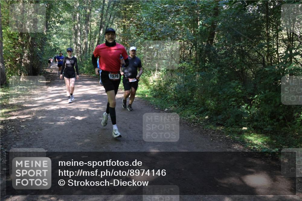 28.09.2025 - 33. Volkslauf durch das schöne Alstertal Strokosch-Dieckow http://msf.ph/oto/8974146 28.09.2025 12:36:32 Laufen 1579, 2544 meine-sportfotos.de