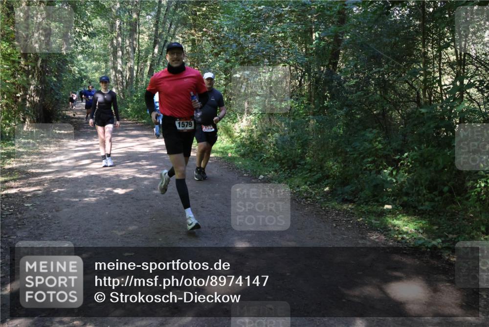 28.09.2025 - 33. Volkslauf durch das schöne Alstertal Strokosch-Dieckow http://msf.ph/oto/8974147 28.09.2025 12:36:32 Laufen 1579, 2544 meine-sportfotos.de