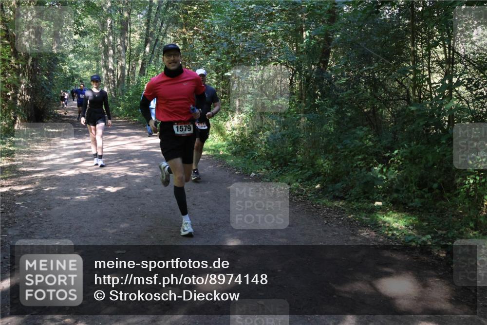 28.09.2025 - 33. Volkslauf durch das schöne Alstertal Strokosch-Dieckow http://msf.ph/oto/8974148 28.09.2025 12:36:32 Laufen 1579, 2544 meine-sportfotos.de
