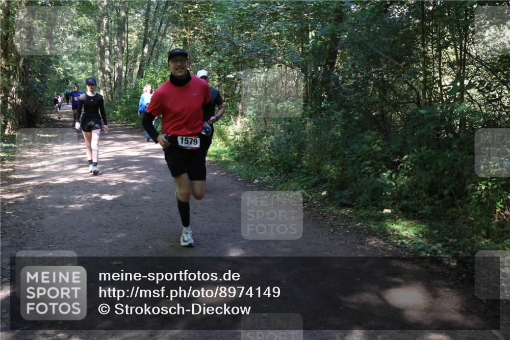 28.09.2025 - 33. Volkslauf durch das schöne Alstertal Strokosch-Dieckow http://msf.ph/oto/8974149 28.09.2025 12:36:32 Laufen 1579 meine-sportfotos.de