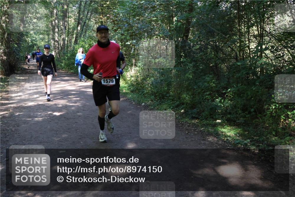 28.09.2025 - 33. Volkslauf durch das schöne Alstertal Strokosch-Dieckow http://msf.ph/oto/8974150 28.09.2025 12:36:32 Laufen 1579 meine-sportfotos.de