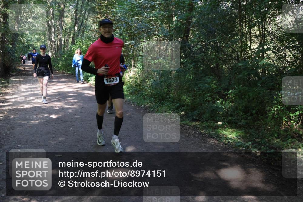 28.09.2025 - 33. Volkslauf durch das schöne Alstertal Strokosch-Dieckow http://msf.ph/oto/8974151 28.09.2025 12:36:32 Laufen 1579 meine-sportfotos.de
