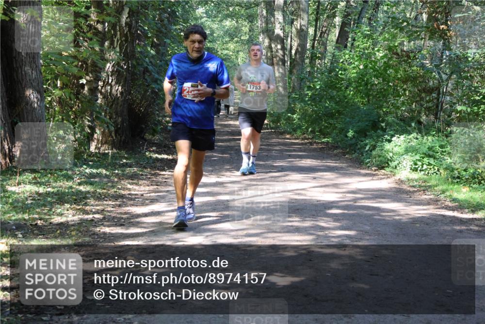 28.09.2025 - 33. Volkslauf durch das schöne Alstertal Strokosch-Dieckow http://msf.ph/oto/8974157 28.09.2025 12:36:38 Laufen 1753 meine-sportfotos.de