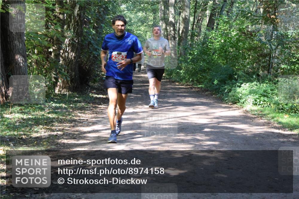 28.09.2025 - 33. Volkslauf durch das schöne Alstertal Strokosch-Dieckow http://msf.ph/oto/8974158 28.09.2025 12:36:38 Laufen 2567, 1753 meine-sportfotos.de