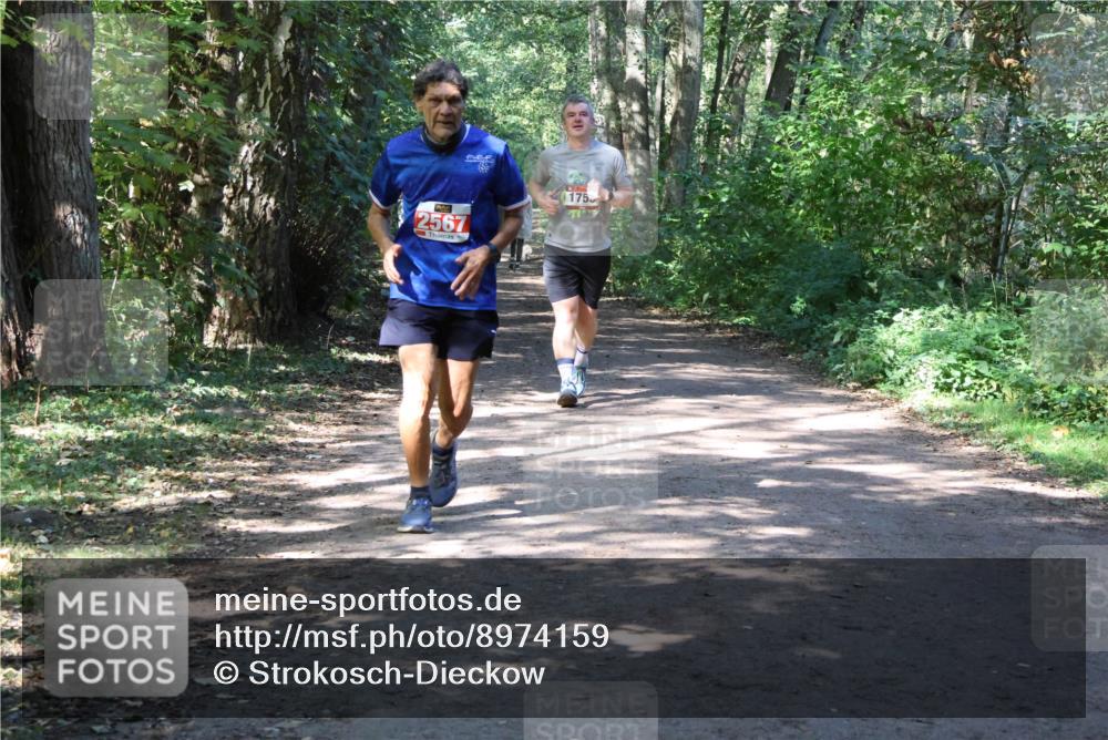 28.09.2025 - 33. Volkslauf durch das schöne Alstertal Strokosch-Dieckow http://msf.ph/oto/8974159 28.09.2025 12:36:38 Laufen 2567, 175 meine-sportfotos.de