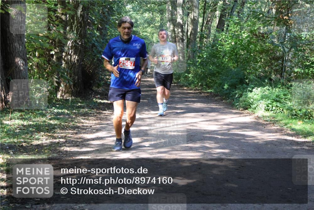 28.09.2025 - 33. Volkslauf durch das schöne Alstertal Strokosch-Dieckow http://msf.ph/oto/8974160 28.09.2025 12:36:38 Laufen 2567, 175 meine-sportfotos.de