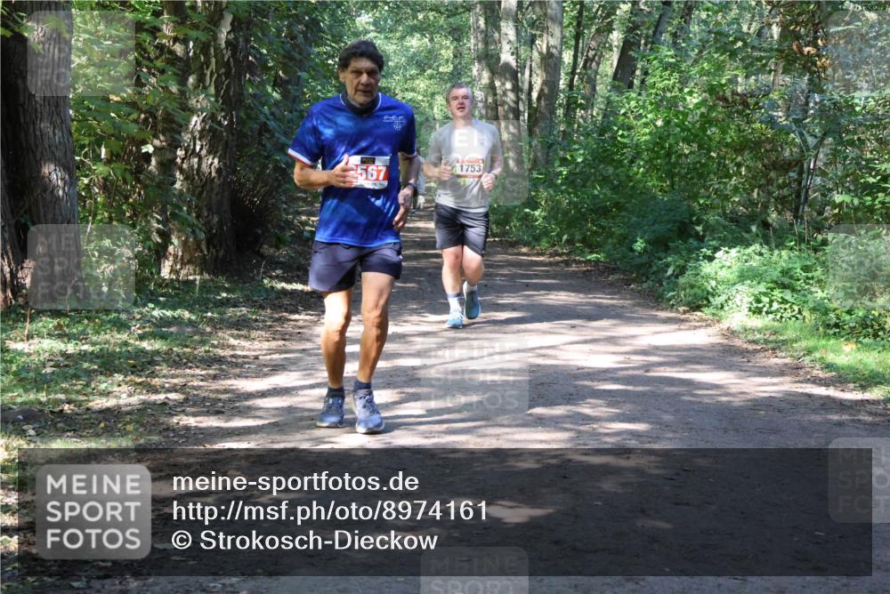 28.09.2025 - 33. Volkslauf durch das schöne Alstertal Strokosch-Dieckow http://msf.ph/oto/8974161 28.09.2025 12:36:38 Laufen 2567, 1753 meine-sportfotos.de