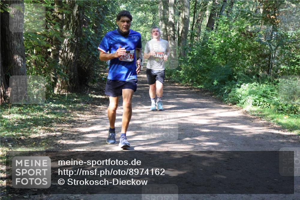 28.09.2025 - 33. Volkslauf durch das schöne Alstertal Strokosch-Dieckow http://msf.ph/oto/8974162 28.09.2025 12:36:38 Laufen 2567, 1753 meine-sportfotos.de