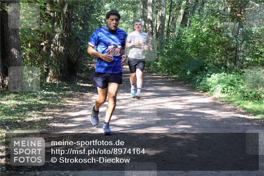 28.09.2025 - 33. Volkslauf durch das schöne Alstertal Strokosch-Dieckow http://msf.ph/oto/8974164 28.09.2025 12:36:38 Laufen 2567, 753 meine-sportfotos.de