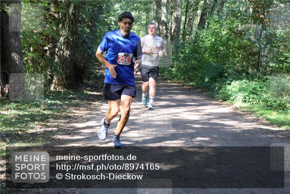 28.09.2025 - 33. Volkslauf durch das schöne Alstertal Strokosch-Dieckow http://msf.ph/oto/8974165 28.09.2025 12:36:39 Laufen 2567, 753 meine-sportfotos.de
