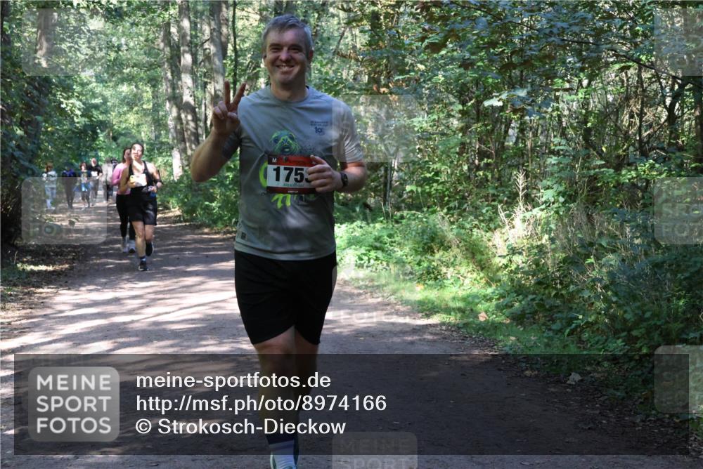 28.09.2025 - 33. Volkslauf durch das schöne Alstertal Strokosch-Dieckow http://msf.ph/oto/8974166 28.09.2025 12:36:42 Laufen 1753, 19 meine-sportfotos.de