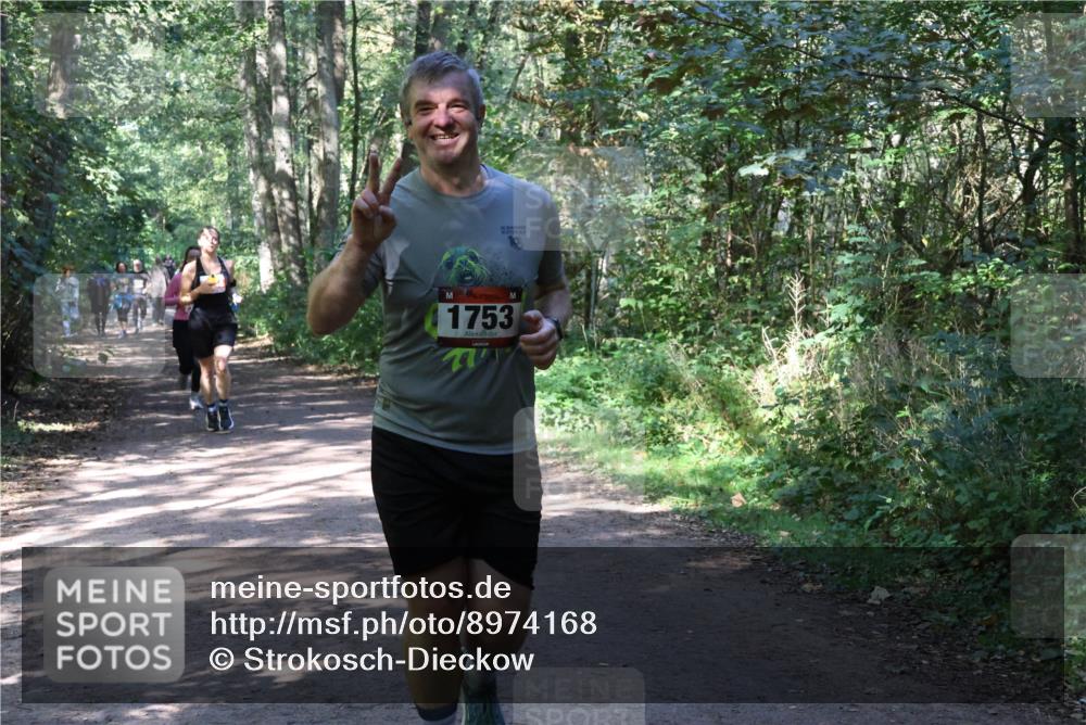 28.09.2025 - 33. Volkslauf durch das schöne Alstertal Strokosch-Dieckow http://msf.ph/oto/8974168 28.09.2025 12:36:43 Laufen 10, 1753 meine-sportfotos.de