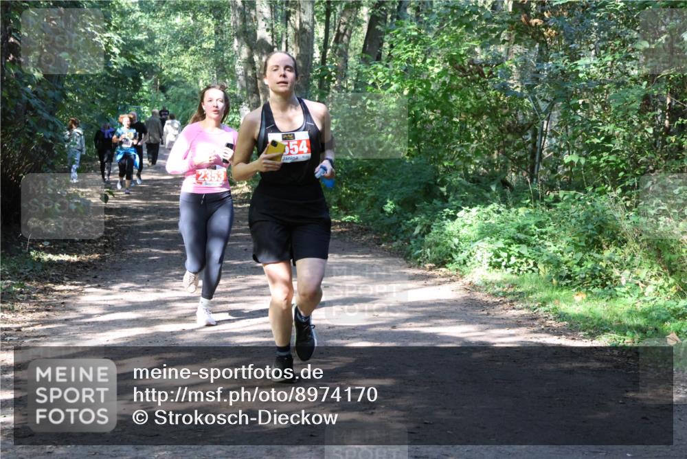 28.09.2025 - 33. Volkslauf durch das schöne Alstertal Strokosch-Dieckow http://msf.ph/oto/8974170 28.09.2025 12:36:45 Laufen 2353, 554 meine-sportfotos.de